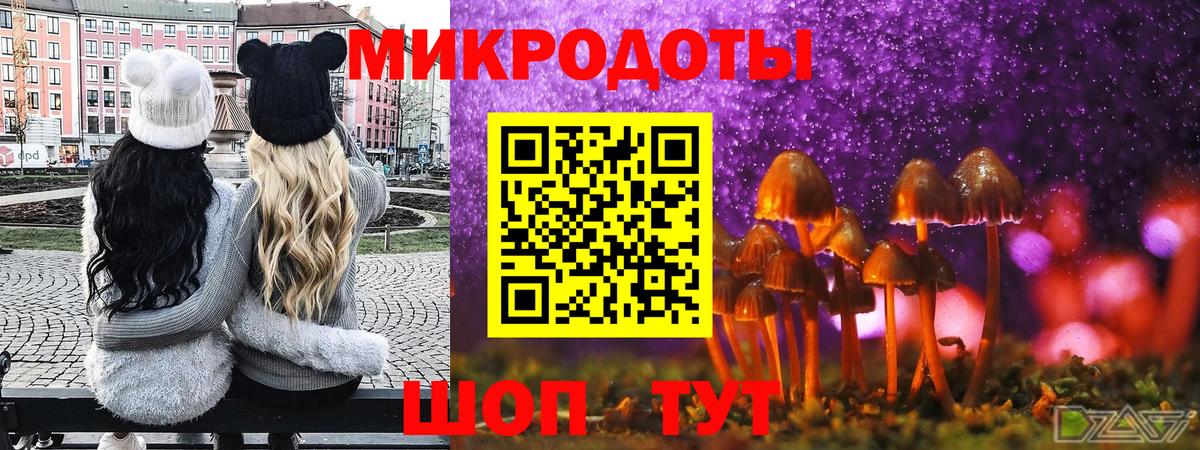 Галлюциногенные грибы Cubensis  Псилоцибиновые грибы GOLDEN TEACHER  Камышин  Вход с VPN 