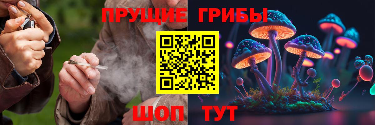 Галлюциногенные грибы мухоморы Камышин