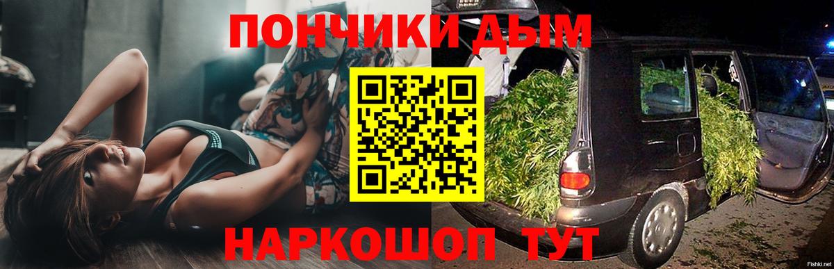 Бошки Шишки планчик Камышин